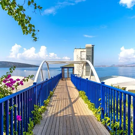 Semesteranläggning (resort) Forever Club (adults Only) Bodrum