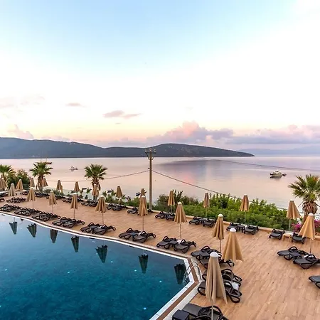 Semesteranläggning (resort) Forever Club (adults Only) Bodrum