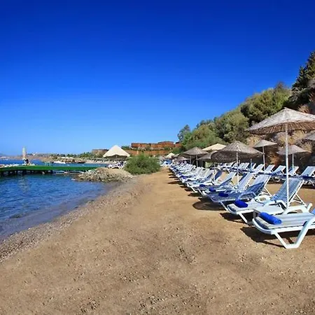 Semesteranläggning (resort) Forever Club (adults Only) Bodrum