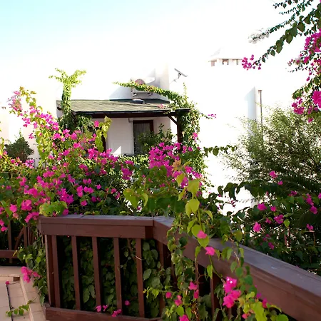 Semesteranläggning (resort) Forever Club (adults Only) Bodrum