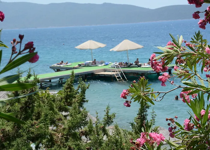 Forever Club (adults Only) 4* Bodrum