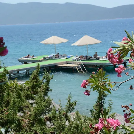 Forever Club (adults Only) 4* Αλικαρνασσός