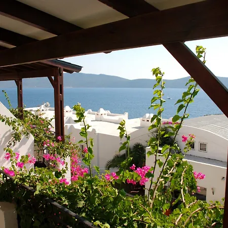 Forever Club (adults Only) 4* Αλικαρνασσός