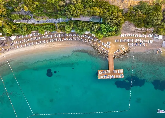 Forever Club (adults Only) 4*