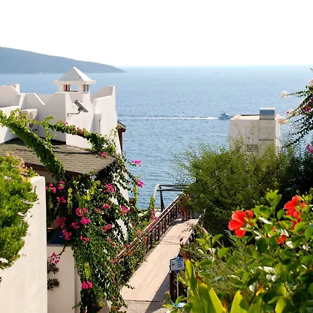 Forever Club (adults Only)