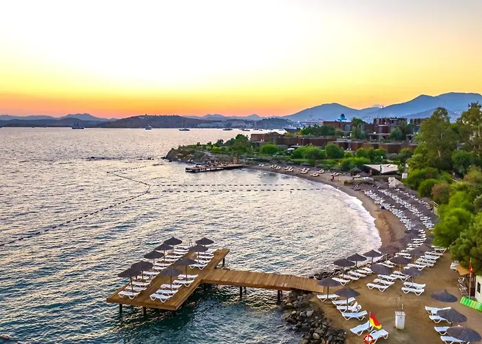 Forever Club - Sadece Yetiskin