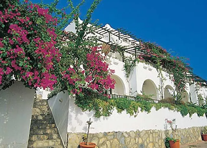 Forever Club - Sadece Yetiskin