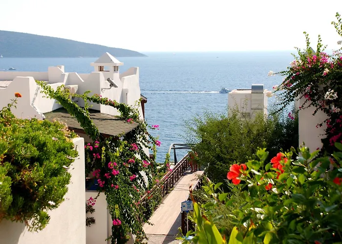 Forever Club (adults Only)