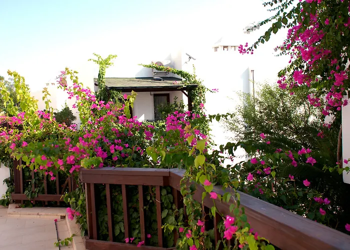 Resort Forever Club - Sadece Yetiskin Bodrum