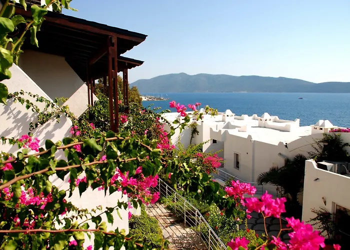 Forever Club - Sadece Yetiskin 4* Bodrum