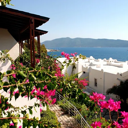 Forever Club (adults Only) 4* Bodrum