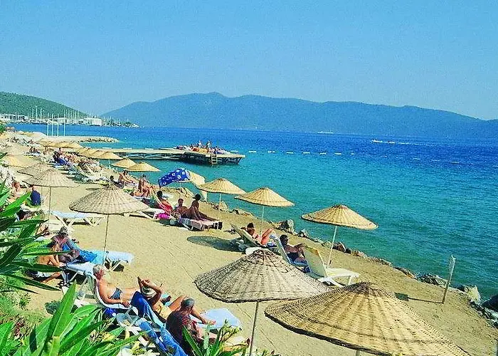 Forever Club (adults Only)