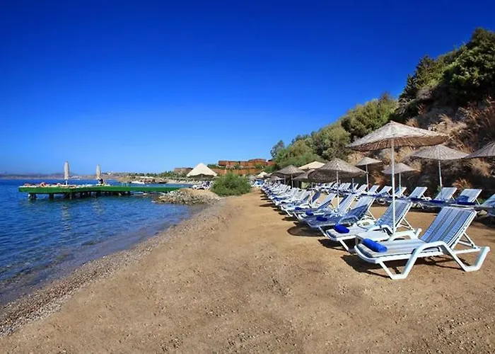 Resort Forever Club (adults Only) Bodrum