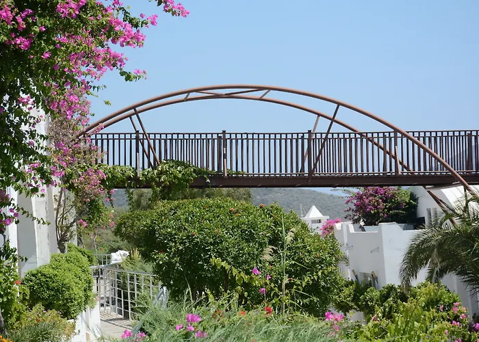 Resort Forever Club (adults Only) 4*